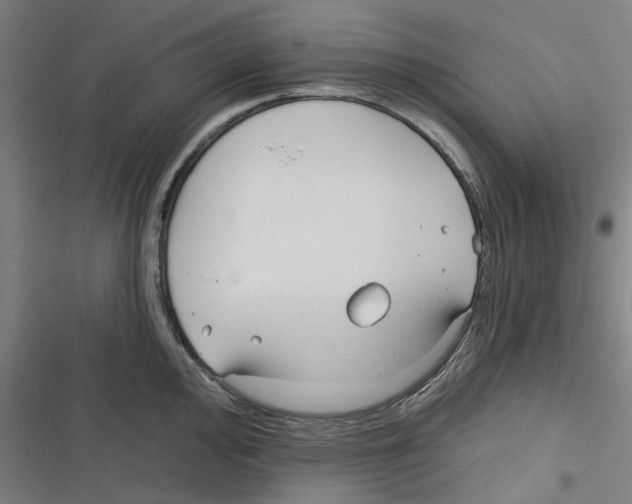 X0000116671000201001111307