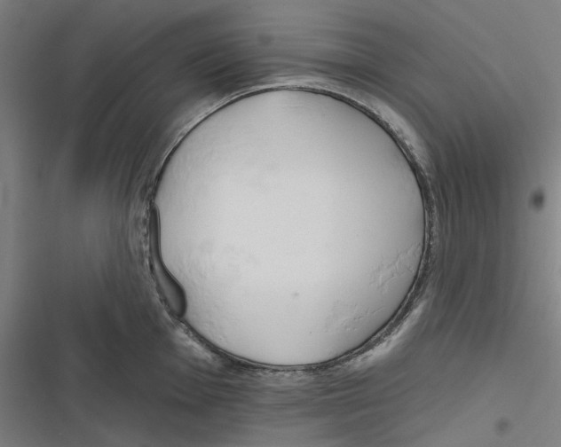 X0000116671001201001111307