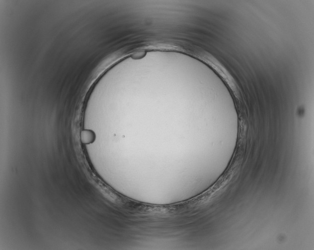 X0000116671002201001111307