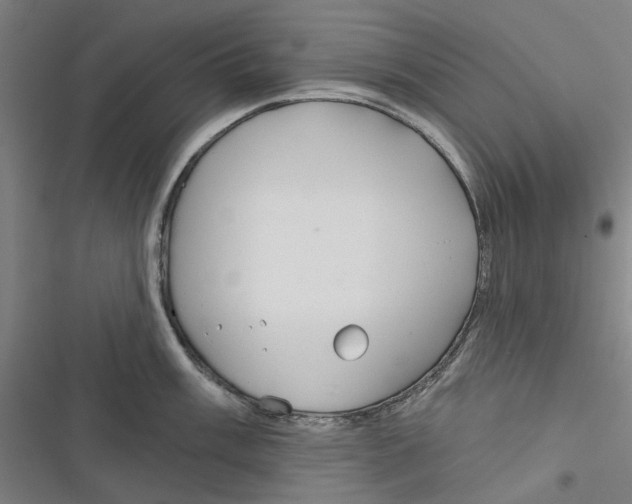 X0000116671003201001111307