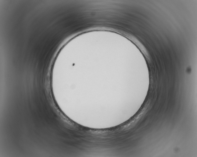 X0000116671004201001111307