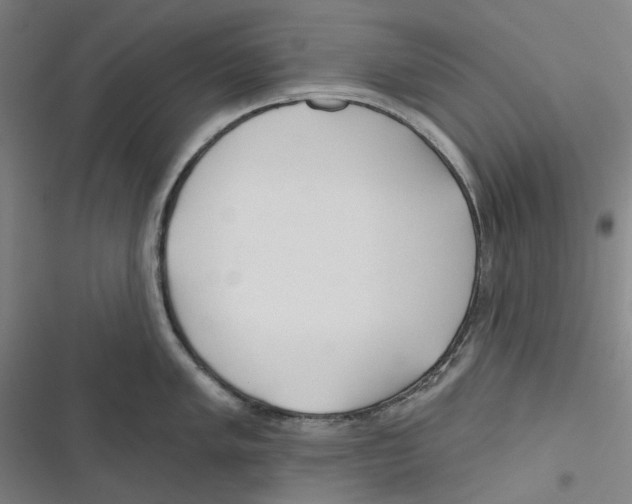 X0000116671005201001111307