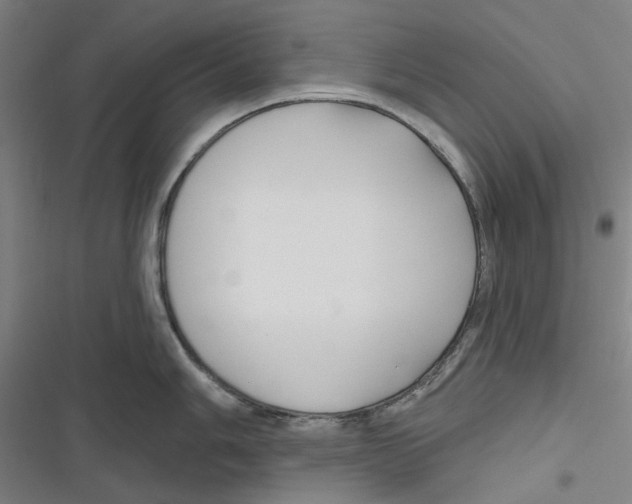 X0000116671006201001111307