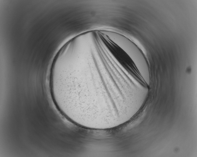 X0000116671007201001111307