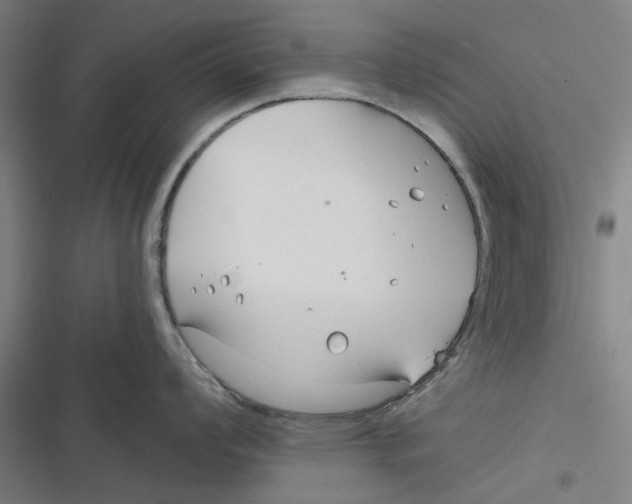 X0000116671008201001111307