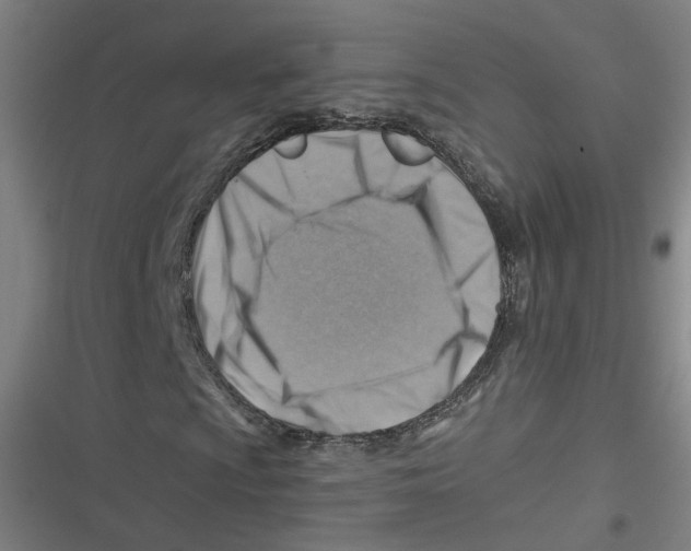 X0000116671009201001111306