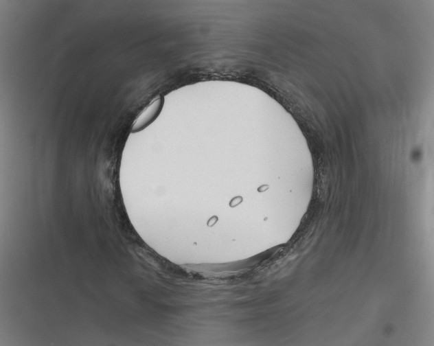 X0000116671010201001111306