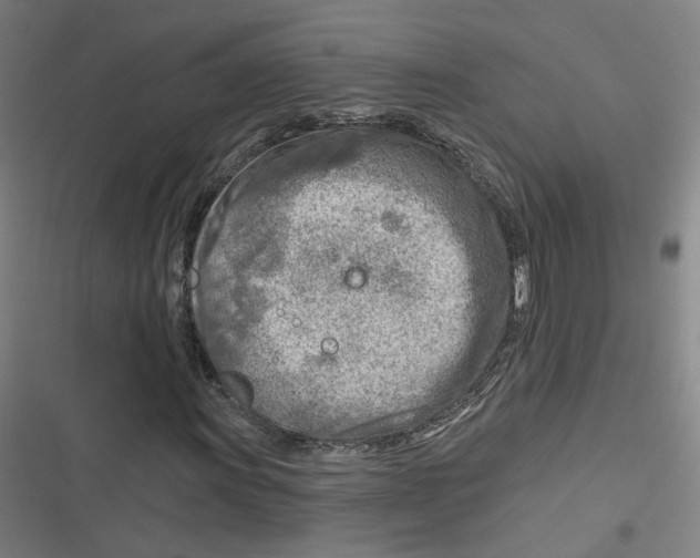 X0000116671011201001111306