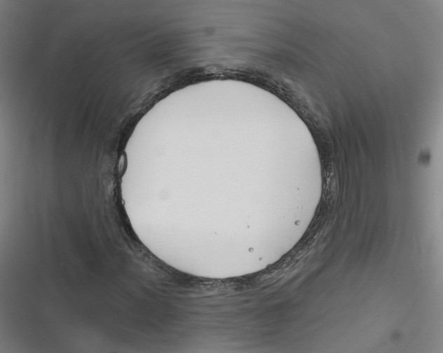 X0000116671012201001111306