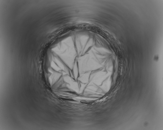 X0000116671013201001111306