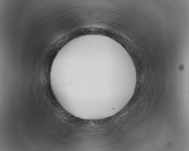 X0000116671014201001111306