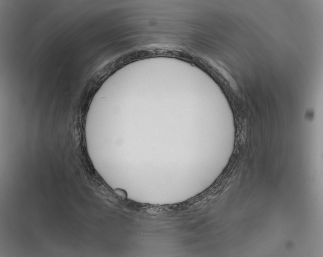 X0000116671015201001111306