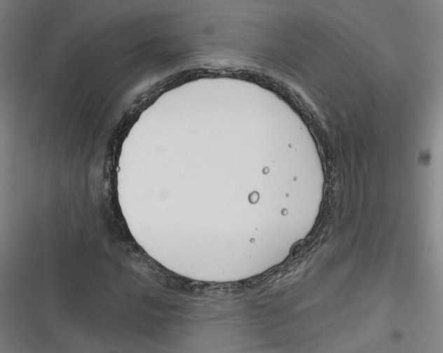 X0000116671016201001111306