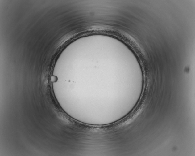 X0000116671017201001111306