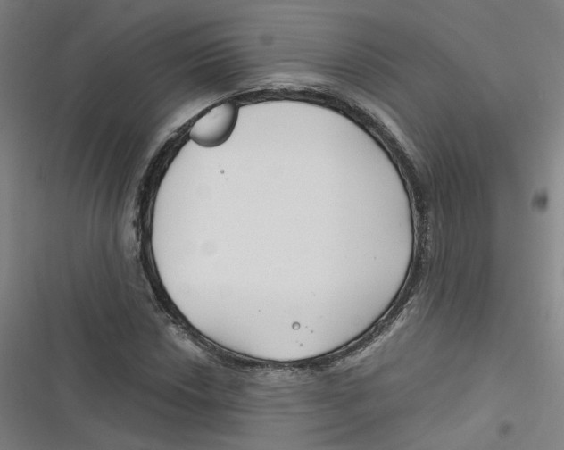 X0000116671018201001111306