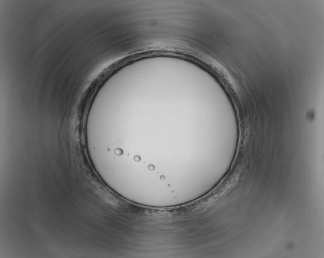 X0000116671019201001111306