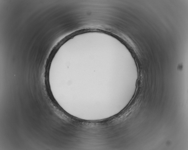 X0000116671020201001111306