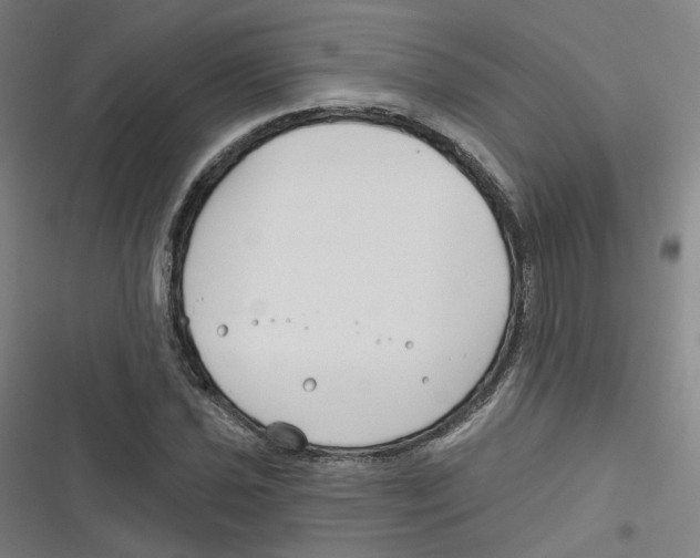 X0000116671021201001111306