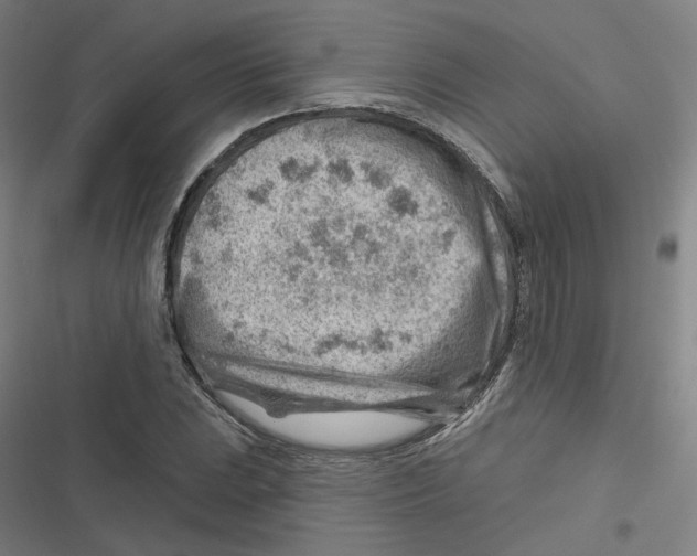 X0000116671023201001111306