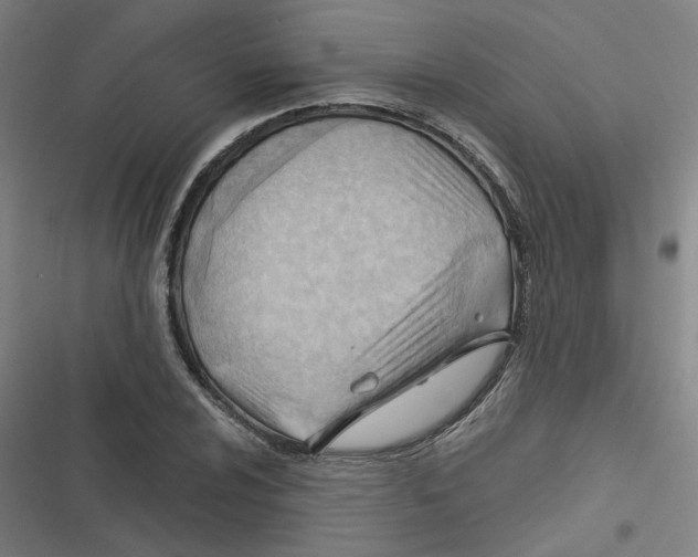 X0000116671024201001111306