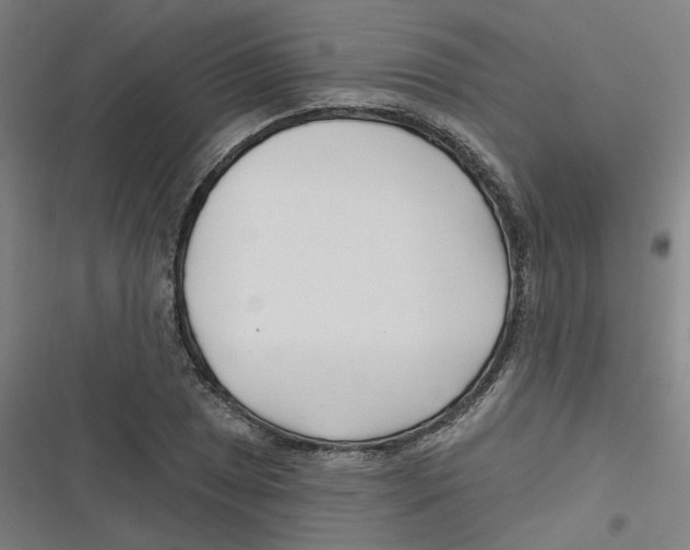 X0000116671025201001111306