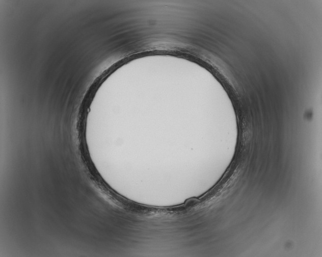 X0000116671026201001111306