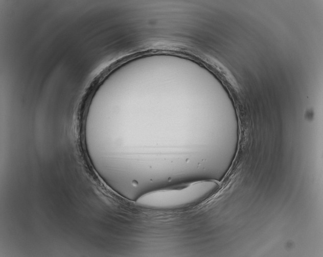 X0000116671027201001111306