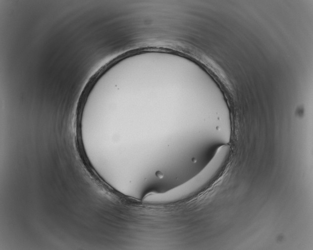 X0000116671028201001111306