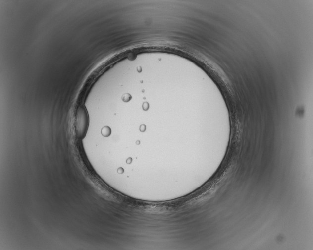 X0000116671029201001111306