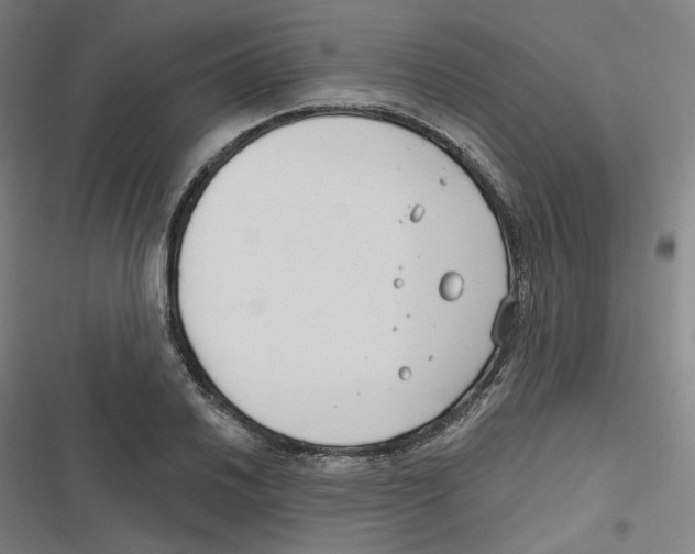 X0000116671030201001111306