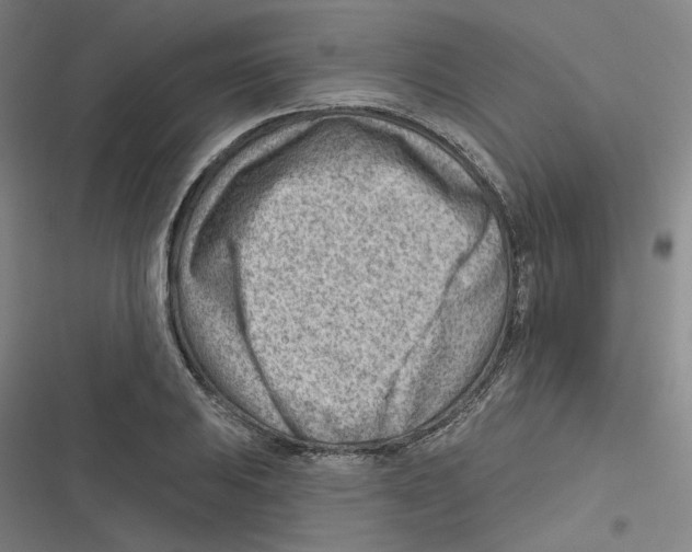 X0000116671031201001111306