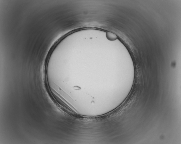 X0000116671032201001111306