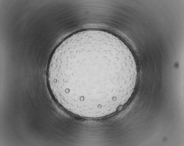 X0000116671033201001111306