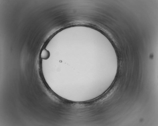 X0000116671034201001111306