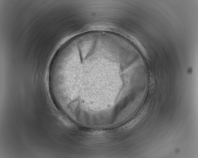 X0000116671035201001111306