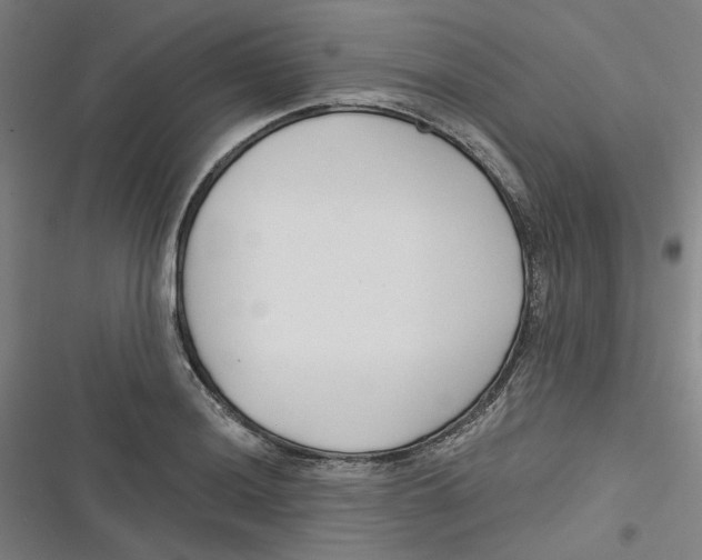 X0000116671036201001111306