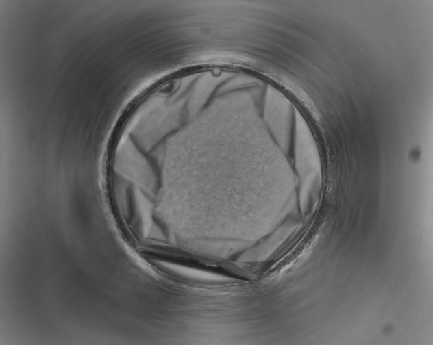 X0000116671037201001111306