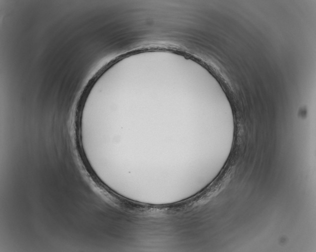 X0000116671038201001111306