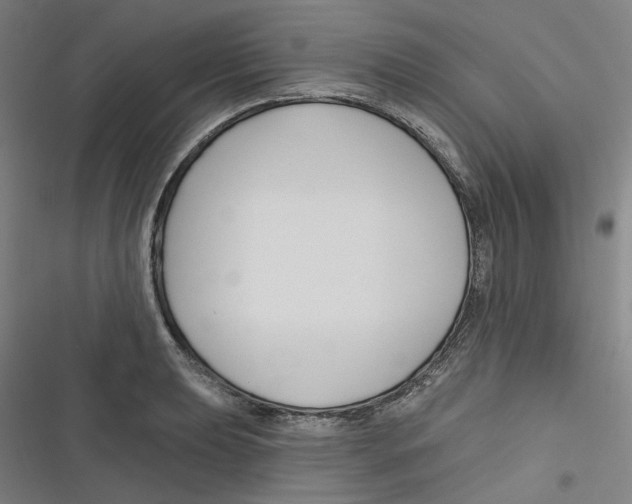 X0000116671039201001111306