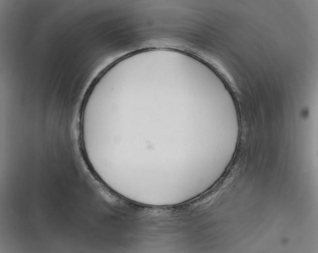 X0000116671040201001111307