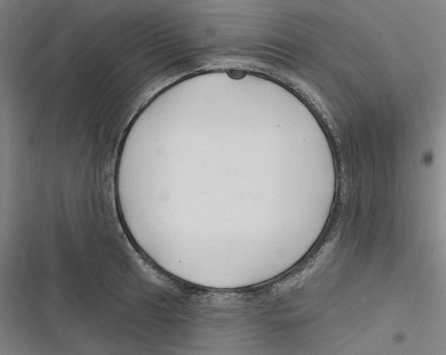 X0000116671041201001111307