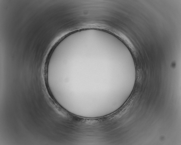 X0000116671043201001111307