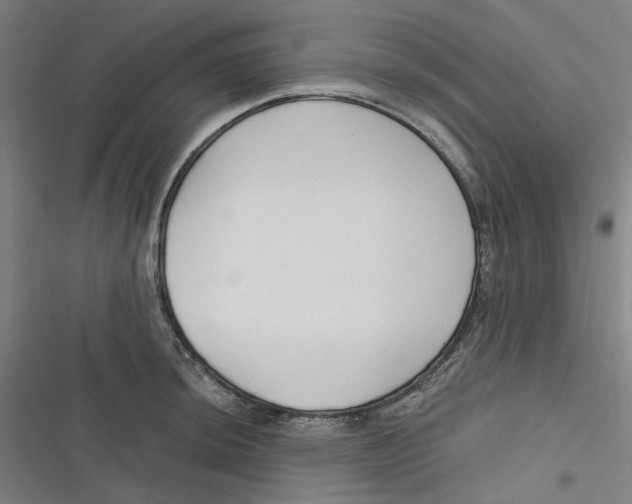 X0000116671044201001111307