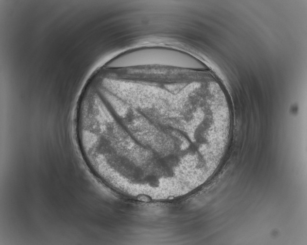 X0000116671045201001111307