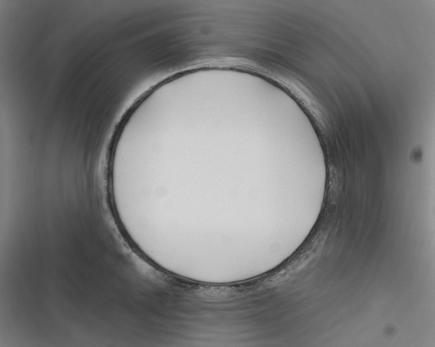 X0000116671046201001111307