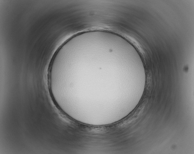 X0000116671047201001111307