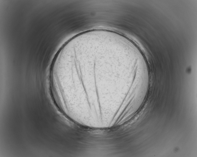 X0000116671048201001111307