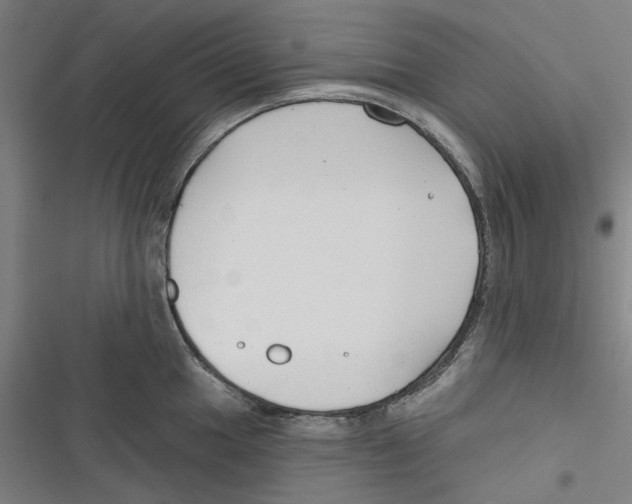 X0000116671049201001111307