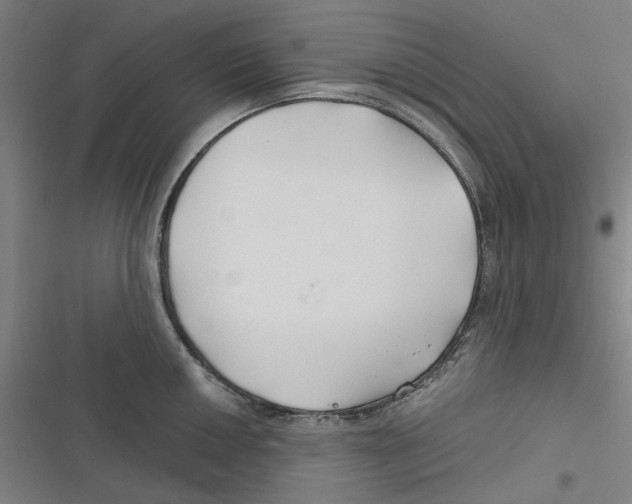 X0000116671050201001111307