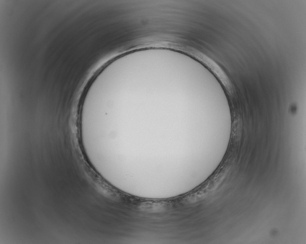 X0000116671051201001111307